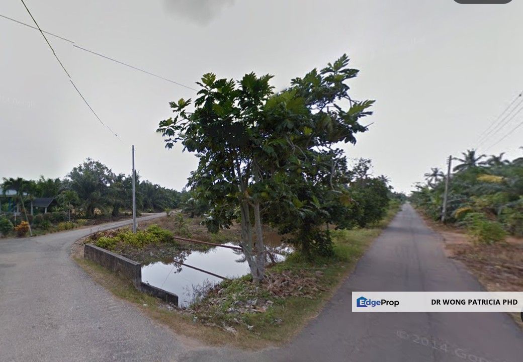 Malay Reserved Land, 3.03 ac, Lapis Kanan Tali Air 3, Kampung Parit Empat, 45400 Tanjong Karang, Selangor, Selangor, Tanjong Karang 