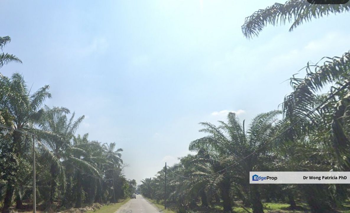 Medium Industry Land, 5 ac,  Jalan Teluk Mengkuang, 42500 Telok Panglima Garang, Selangor, Selangor, Telok Panglima Garang
