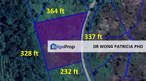 Homestead Land, Very Cheap, 2.08 acres, Sungai Gumut, Lembah Beringin 44000, Selangor, Selangor, Hulu Selangor