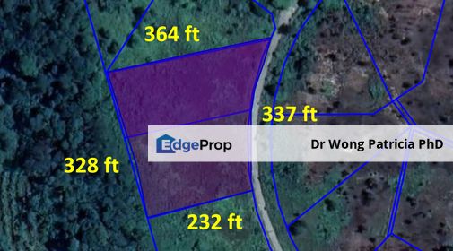 Homestead Land, Very Cheap, 2.08 acres, Sungai Gumut, Lembah Beringin 44000, Selangor, Selangor, Hulu Selangor