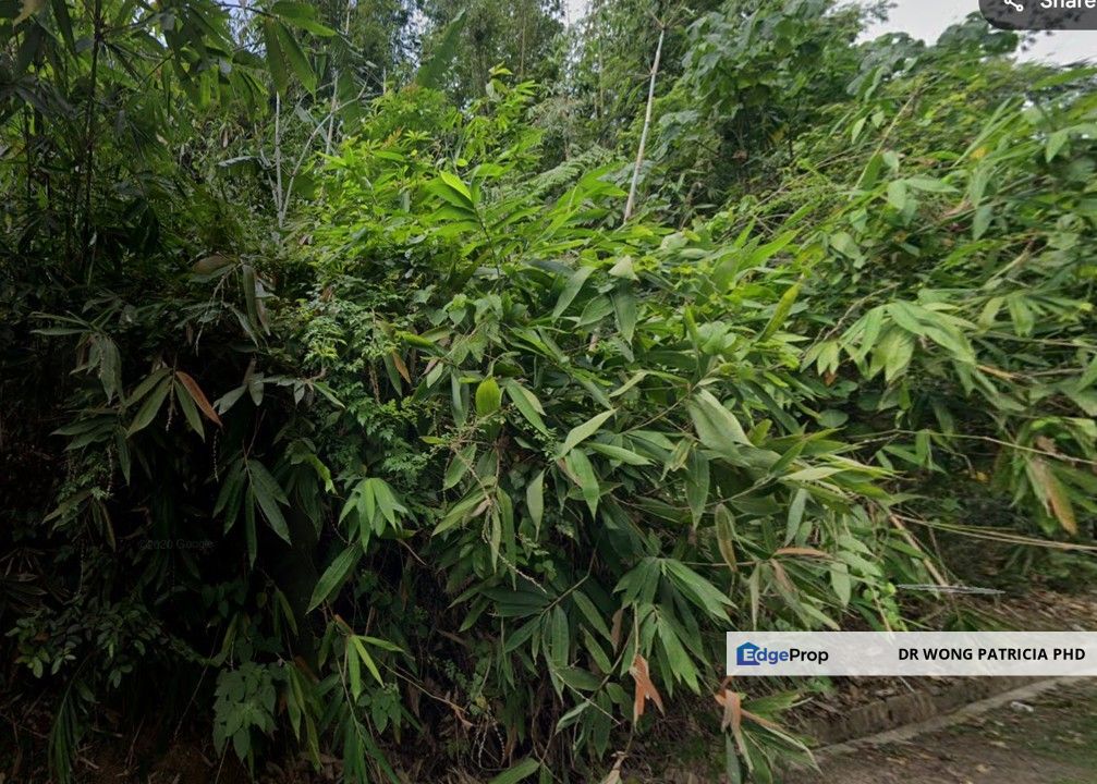 Residential Land, 2.49 ac, Main Road, Kampung Bukit Tinggi, 28750 Bentong, Pahang, Pahang, Bentong