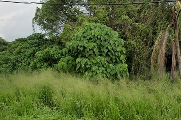 Jalan Bukit Kemuning