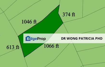 Agriculture Land, Very Cheap, 8.8 ac,  Kampung Tanjung Rambai, 27200  Kuala Lipis, Pahang, Pahang, Kuala Lipis