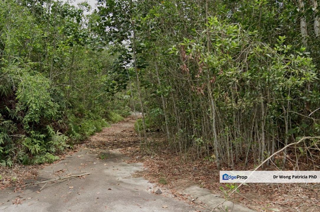 Bungalow land, Very cheap, 9924 sq ft, Jalan Kenari 16a,  Bandar Baru Lembah Beringin, 44100 Kuala Kubu Baru, Selangor, Selangor, Kuala Kubu Baru