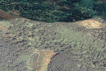 Durian Farm, 18.36 ac, off Jalan Besar Kampung Baharu Teras 27600 Raub, Pahang