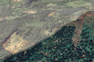 Durian Farm, 18.36 ac, off Jalan Besar Kampung Baharu Teras 27600 Raub, Pahang