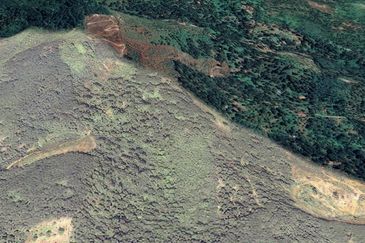 Durian Farm, 18.36 ac, off Jalan Besar Kampung Baharu Teras 27600 Raub, Pahang