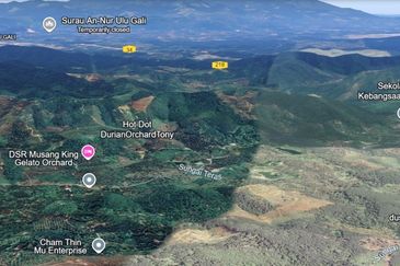 Durian Farm, 18.36 ac, off Jalan Besar Kampung Baharu Teras 27600 Raub, Pahang