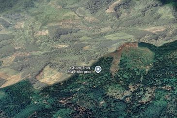 Durian Farm, 18.36 ac, off Jalan Besar Kampung Baharu Teras 27600 Raub, Pahang