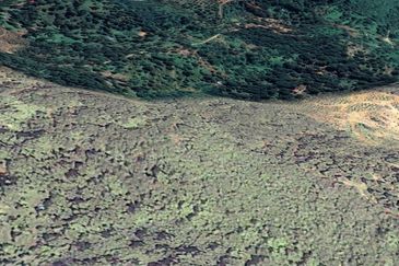 Durian Farm, 18.36 ac, off Jalan Besar Kampung Baharu Teras 27600 Raub, Pahang