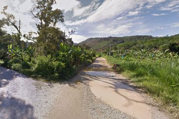 Durian Farm, 18.36 ac, off Jalan Besar Kampung Baharu Teras 27600 Raub, Pahang