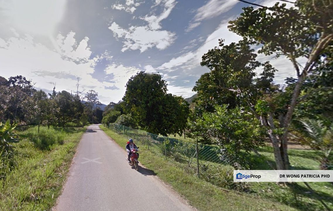 Durian Farm, 18.36 ac, off Jalan Besar Kampung Baharu Teras 27600 Raub, Pahang, Pahang, Raub