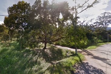 Durian Farm, 18.36 ac, off Jalan Besar Kampung Baharu Teras 27600 Raub, Pahang