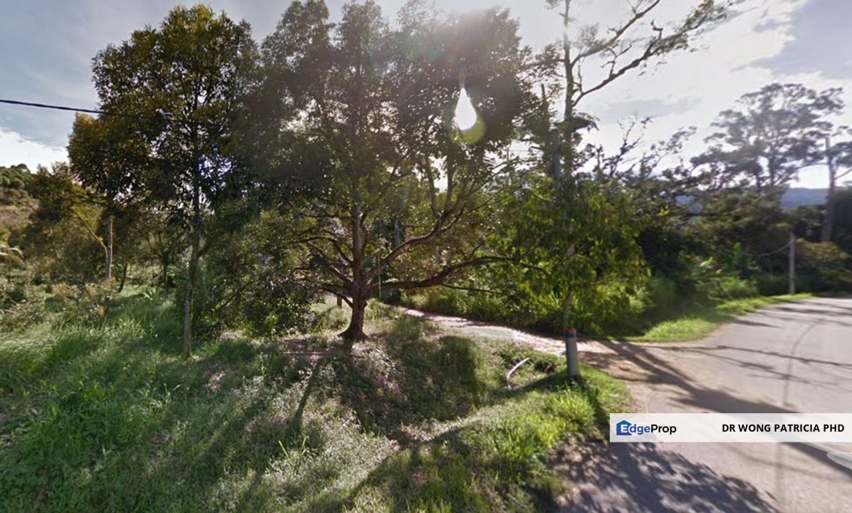 Durian Farm, 18.36 ac, off Jalan Besar Kampung Baharu Teras 27600 Raub, Pahang, Pahang, Raub