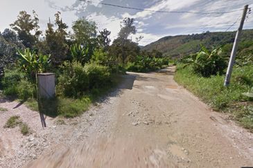 Durian Farm, 18.36 ac, off Jalan Besar Kampung Baharu Teras 27600 Raub, Pahang