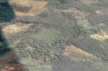 Durian Farm, 18.36 ac, off Jalan Besar Kampung Baharu Teras 27600 Raub, Pahang