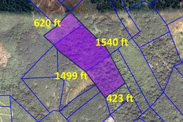 Durian Farm, 18.36 ac, off Jalan Besar Kampung Baharu Teras 27600 Raub, Pahang