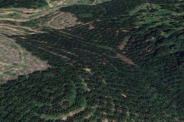 Palm Oil Land, 8.73 ac, 3 km from  Kampung Jeram Besu, 27300 Sega, Pahang