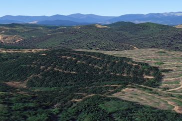 Palm Oil Land, 8.73 ac, 3 km from  Kampung Jeram Besu, 27300 Sega, Pahang