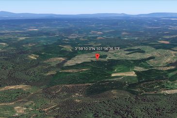 Palm Oil Land, 8.73 ac, 3 km from  Kampung Jeram Besu, 27300 Sega, Pahang