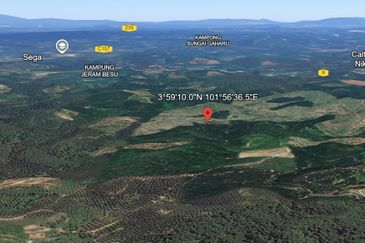 Palm Oil Land, 8.73 ac, 3 km from  Kampung Jeram Besu, 27300 Sega, Pahang