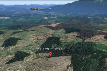 Palm Oil Land, 8.73 ac, 3 km from  Kampung Jeram Besu, 27300 Sega, Pahang