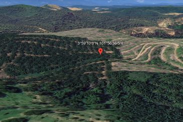 Palm Oil Land, 8.73 ac, 3 km from  Kampung Jeram Besu, 27300 Sega, Pahang