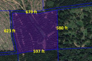 Palm Oil Land, 8.73 ac, 3 km from  Kampung Jeram Besu, 27300 Sega, Pahang