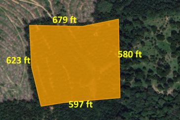 Palm Oil Land, 8.73 ac, 3 km from  Kampung Jeram Besu, 27300 Sega, Pahang