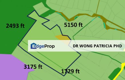 Durian Farm Land, 141.90 ac,  Kampung Bandar, JALAN LIPIS/BENTA, 27200 Kuala Lipis, Pahang, Pahang, Kuala Lipis