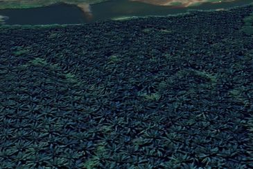 Jalan Mahagoni 2a/7, Pekan Batang Kali