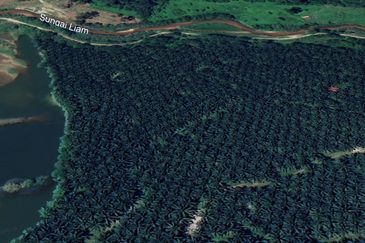 Jalan Mahagoni 2a/7, Pekan Batang Kali