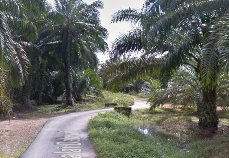 Jalan Kampung Bukit Jeram