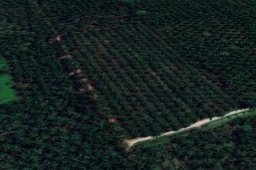 Jalan Kampung Bukit Jeram