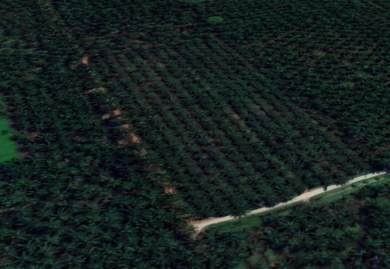 Jalan Kampung Bukit Jeram