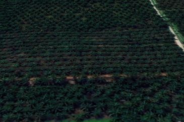 Jalan Kampung Bukit Jeram