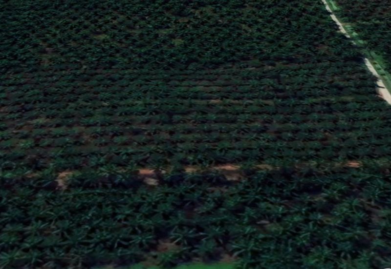 Jalan Kampung Bukit Jeram