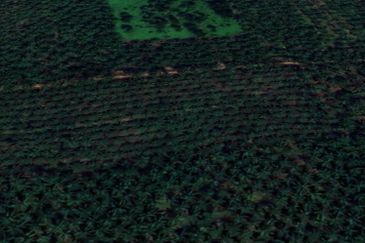 Jalan Kampung Bukit Jeram