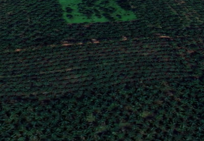 Jalan Kampung Bukit Jeram