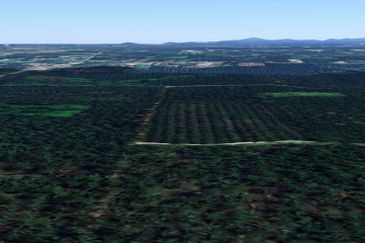 Jalan Kampung Bukit Jeram