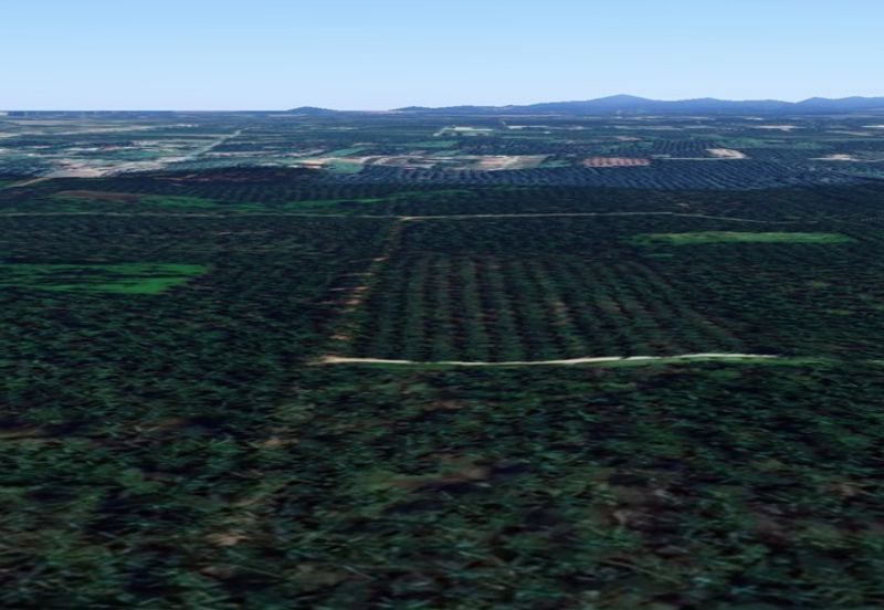 Jalan Kampung Bukit Jeram