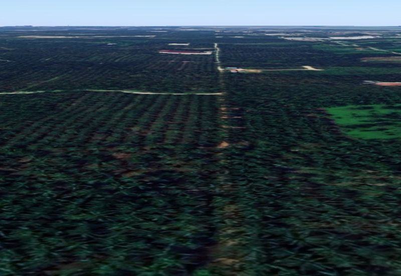 Jalan Kampung Bukit Jeram