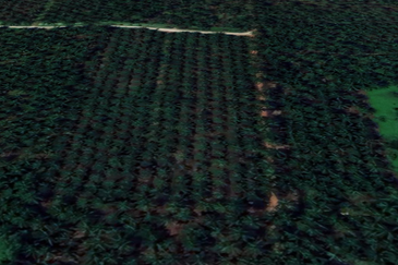 Jalan Kampung Bukit Jeram