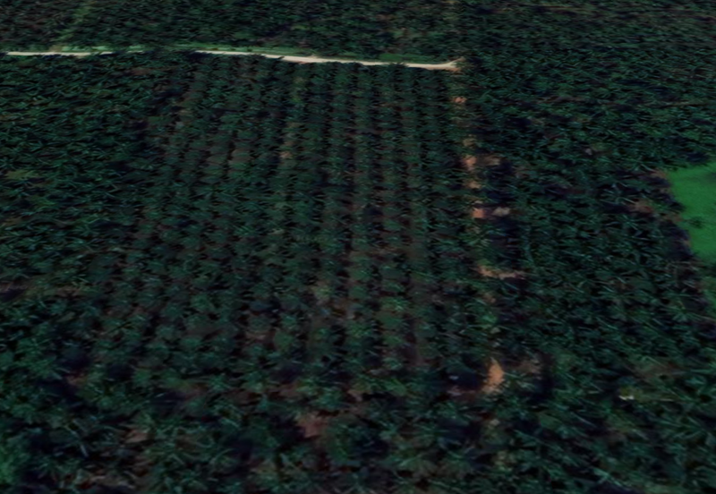 Jalan Kampung Bukit Jeram