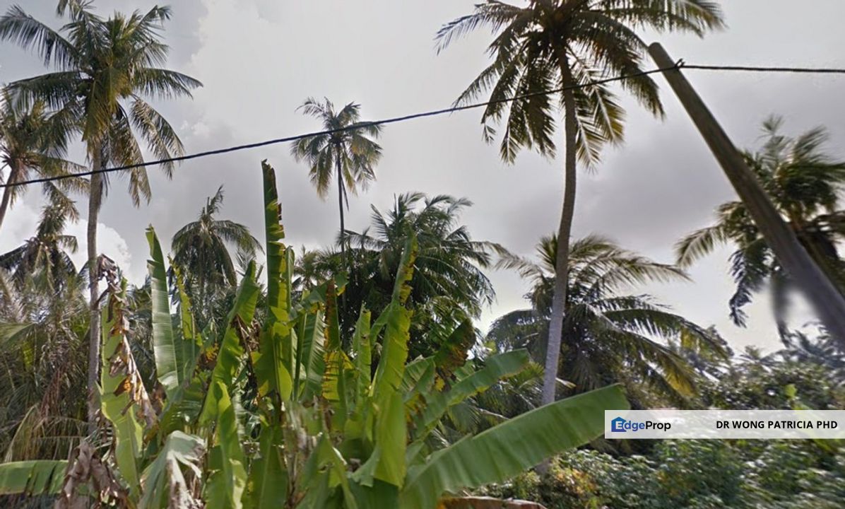 Malay Reserved, Very Cheap, 6.08 ac, Kampung Parit Empat, 45400 Tanjong Karang, Selangor, Selangor, Kuala Selangor