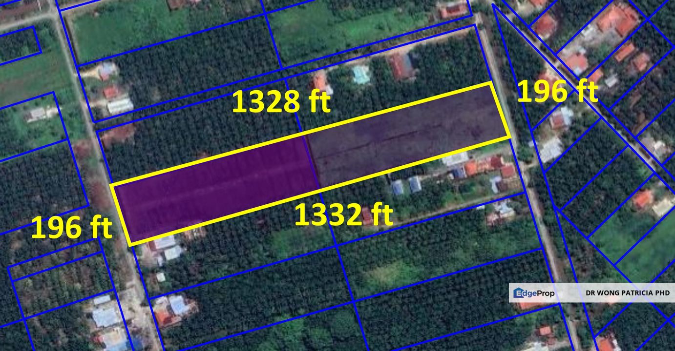 Malay Reserved, Very Cheap, 6.08 ac, Kampung Parit Empat, 45400 Tanjong Karang, Selangor, Selangor, Kuala Selangor