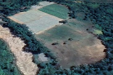 Sungai Gumut ( Lembah Beringin )