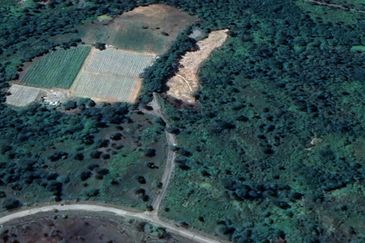 Sungai Gumut ( Lembah Beringin )