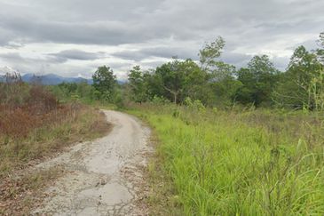 Sungai Gumut ( Lembah Beringin )
