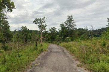 Sungai Gumut ( Lembah Beringin )